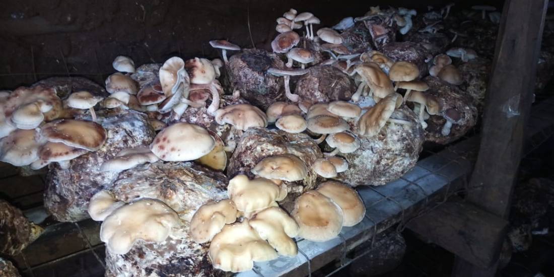 WhatsApp Image 2019-04-01 at 13.08.50